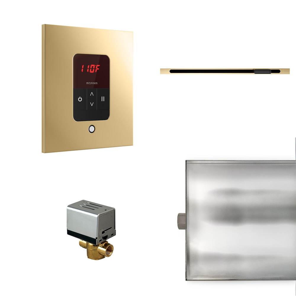 Mr. Steam Basic Butler Linear Steam Shower Control Package with iTempo Control and Linear SteamHead in Square Polished Brass