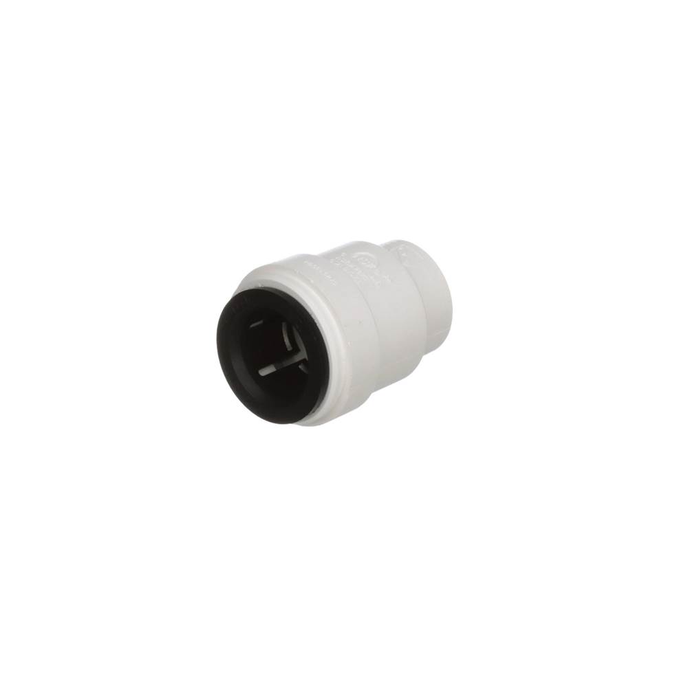 Watts 1/2 IN CTS Plastic End Cap, Contractor Pack